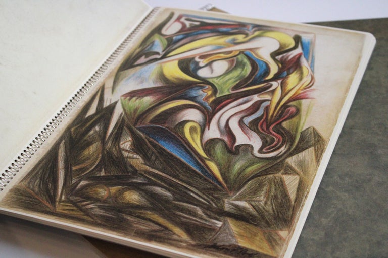 The Jackson Pollock Sketchbooks in the Metropolitan Museum of Art