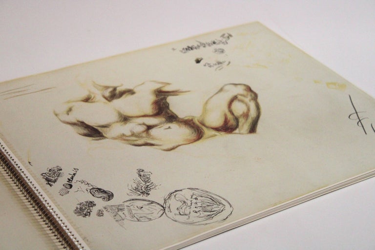 The Jackson Pollock Sketchbooks in the Metropolitan Museum of Art