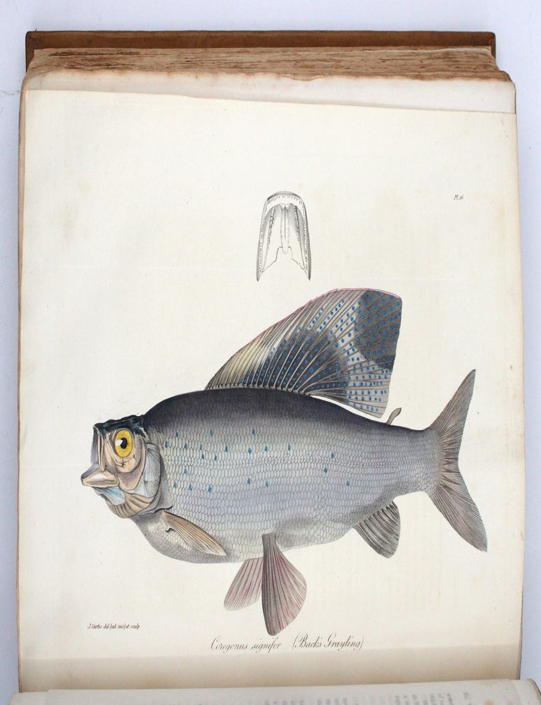 Narrative of a Journey to the Shores of the Polar Sea, in the Years 1819, 20, 21, and 22 ... [With:] Narrative of a Second Expedition to the Shores of the Polar Sea, in the Years 1825, 1826, and 1827&hellip;