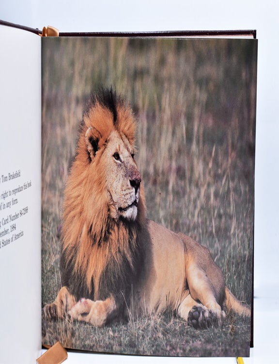 The African Book