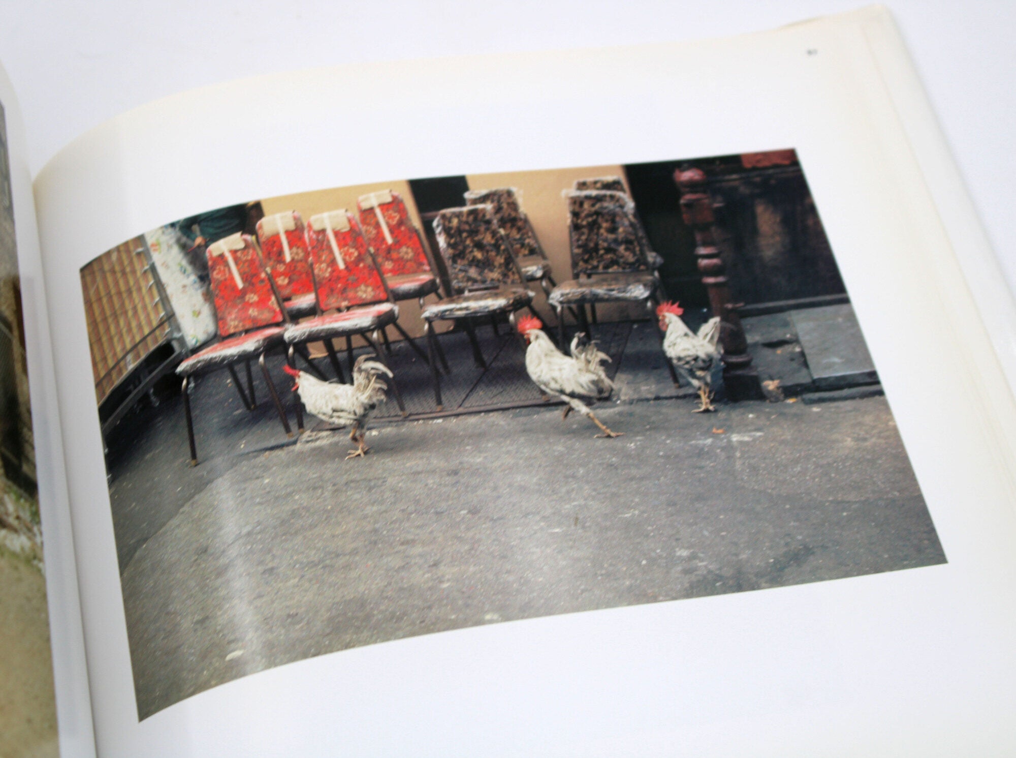 Slide Show. The Color Photographs of Helen Levitt. Foreword by 