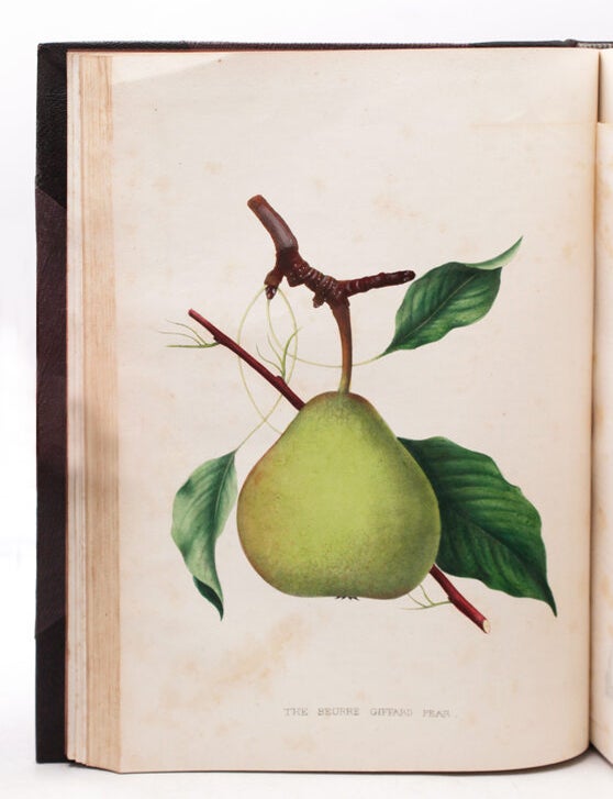 The Horticulturalist and Journal of Rural Art & Taste. Devoted to Horticulture, Landscape Gardening, Rural Architecture, Botany, Pomology, Entomology, Rural Economy &c