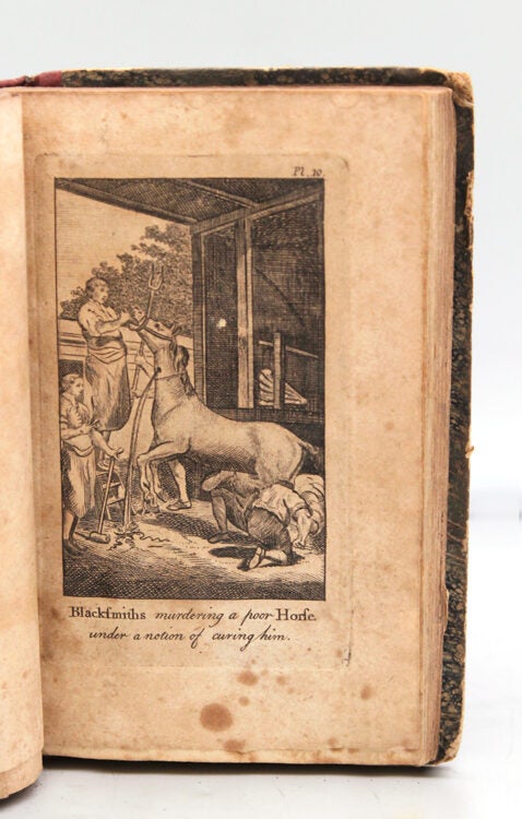 Farriery Improved; or A Complete Treatise on the Art of Farriery. Wherein are Fully Explained, The Nature's and Structure of that useful Creature, a Horse; with the Diseases and Accidents He is Liable to; and the Methods of Cure.; Exemplified by Ten Elegant Cuts, Each the Full Figure of a Horse, likewise Rules for Breeding and Training of Colts: Practical Receipts for the Cure of Common Distempers Incident to Oxen, Cows, Calves, Sheep, Lambs, Hogs, &c. To Which is Prefixed, Ten Minutes' Advice to the Purchasers of Horses