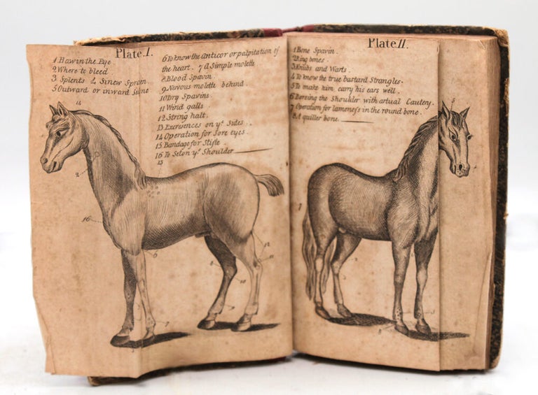 Farriery Improved; or A Complete Treatise on the Art of Farriery. Wherein are Fully Explained, The Nature's and Structure of that useful Creature, a Horse; with the Diseases and Accidents He is Liable to; and the Methods of Cure.; Exemplified by Ten Elegant Cuts, Each the Full Figure of a Horse, likewise Rules for Breeding and Training of Colts: Practical Receipts for the Cure of Common Distempers Incident to Oxen, Cows, Calves, Sheep, Lambs, Hogs, &c. To Which is Prefixed, Ten Minutes' Advice to the Purchasers of Horses