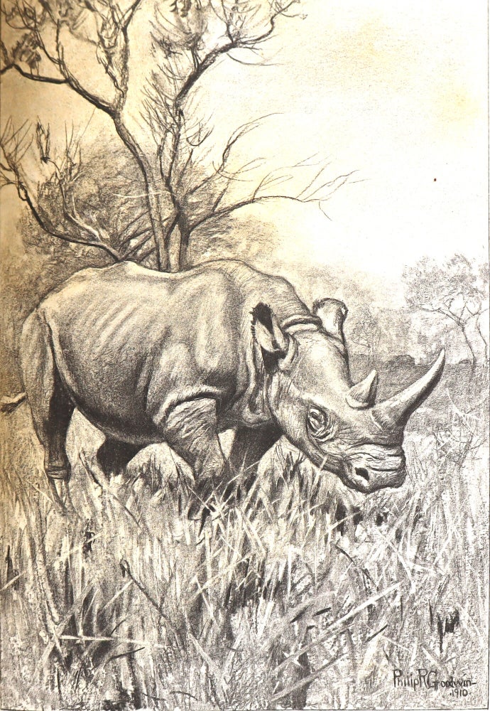 African Game Trails