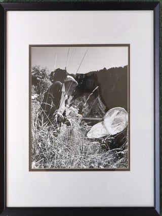 Item #373638 Vladimir Nabokov chasing butterflies near his home. Montreux, Switzerland. 1966....
