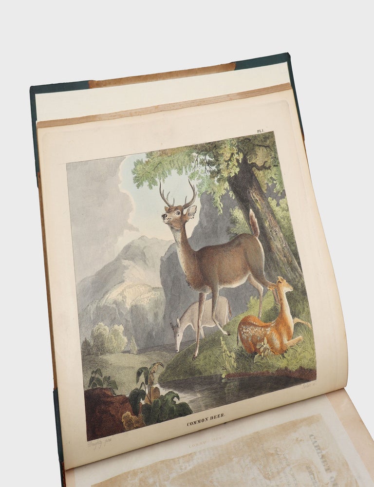 The Cabinet of Natural History and American Rural Sports