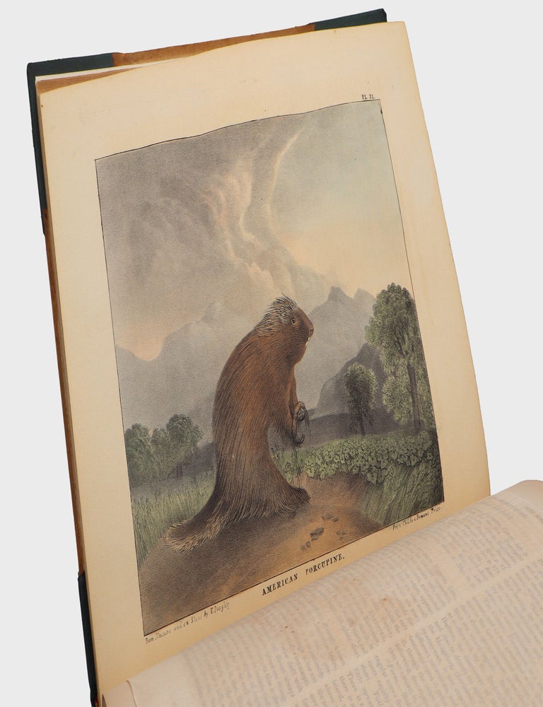 The Cabinet of Natural History and American Rural Sports