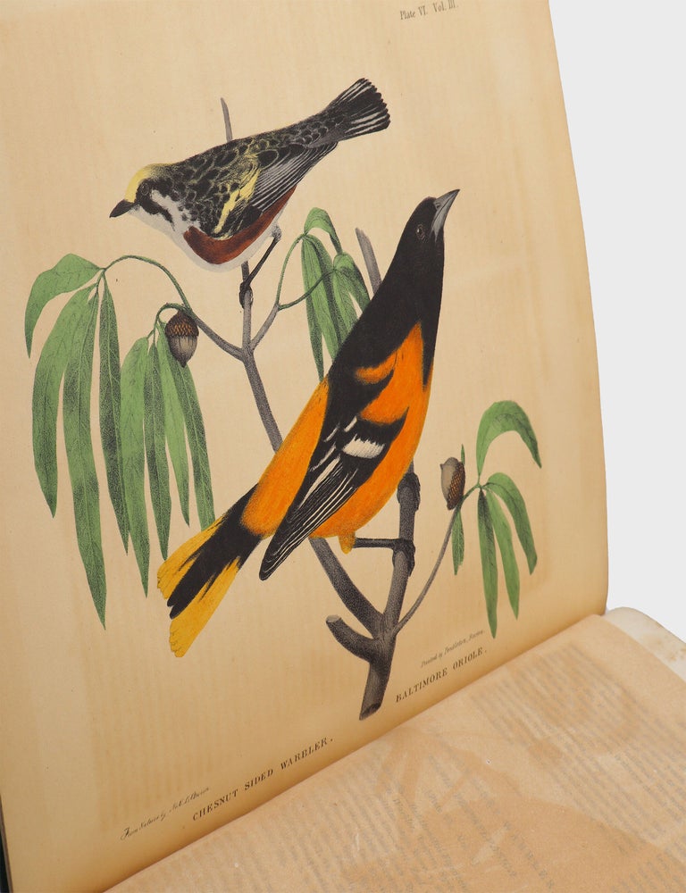 The Cabinet of Natural History and American Rural Sports