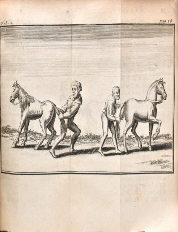 L'Eloge de la Folie, composé en forme de Déclaration par Erasme, et traduit par Monsieur Gueudeville, avec Notes de Gerard Listre & les belles Figures de Holbein; le tout sur l'Original de l'Académie de Bale