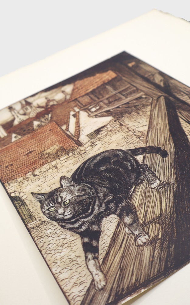The Fairy Tales of the Brothers Grimm…Translated by Mrs. Edgar Lucas
