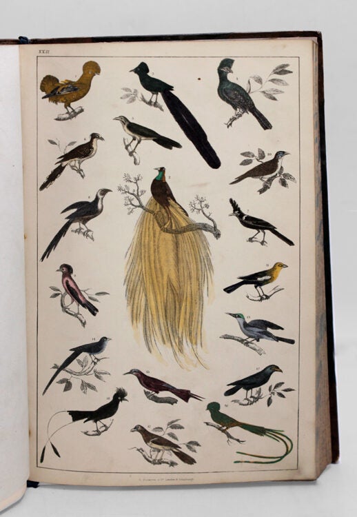 A History of the Earth and Animated Nature...With introductory View of the Animal Kingdom, Translated from the French of Baron Cuvier. And copious Notes...A Life of the Author by Washingon Irving