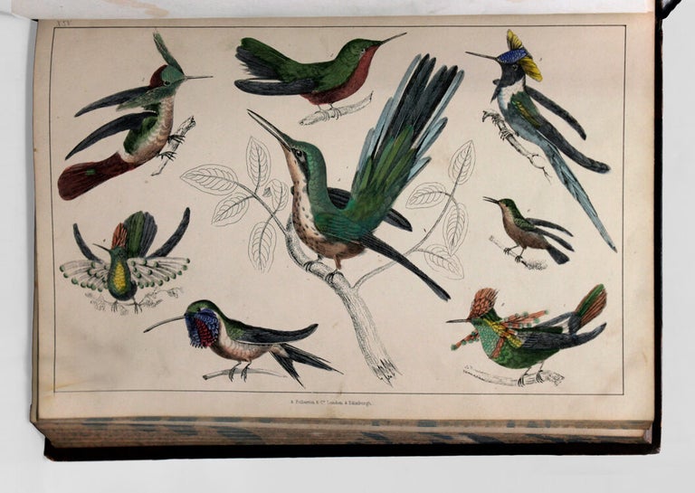 A History of the Earth and Animated Nature...With introductory View of the Animal Kingdom, Translated from the French of Baron Cuvier. And copious Notes...A Life of the Author by Washingon Irving