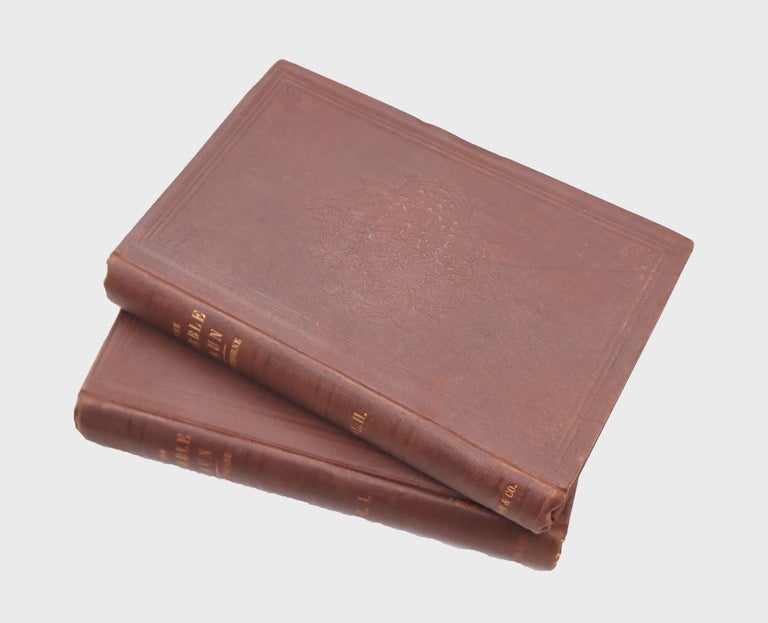 The Marble Faun: or, The Romance of Monte Beni