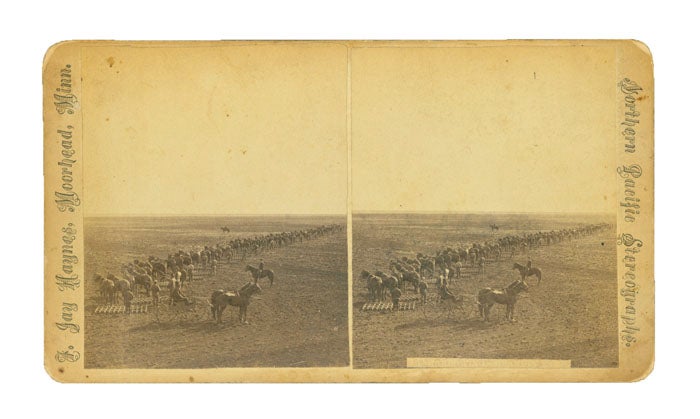 Item #38059 Three stereographs of farm laborers operating horse-drawn threshers and binders on "The Great Wheat Farms of the Red River Valley, Owned by Gen. Geo. W. Cass, Philadelphi; Benj. P. Cheney, Esq. Boston, "etc. Minnesota, . Jay Haynes, ranklin.
