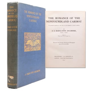 Item #56554 The Romance of the Newfoundland Caribou. An Intimate Account of the Life of the...
