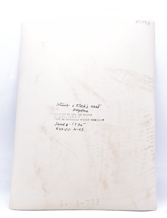 Item #57918 &hellip; and Stork's Nest, Segovia. Spain, Carl Van Vechten.
