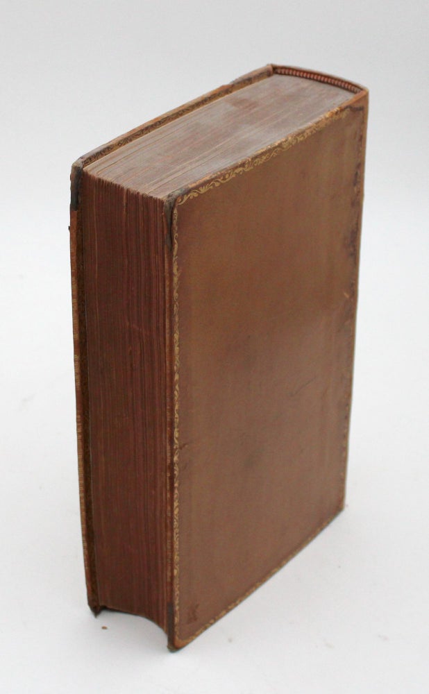 Little Dorrit