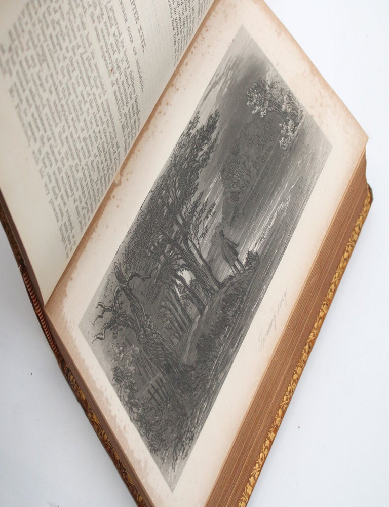 Little Dorrit