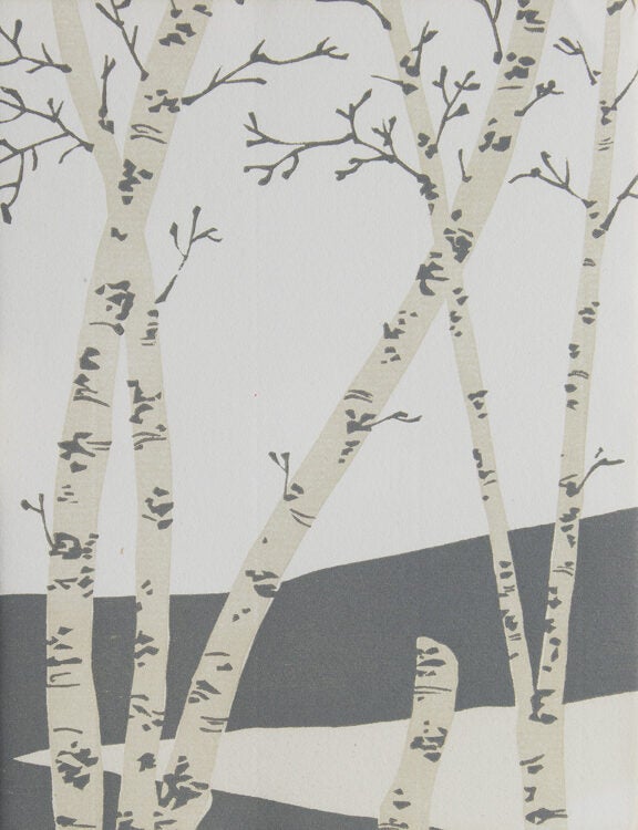 A Young Birch