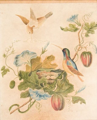 Item #61632 Watercolor: "Taylor Birds w. fruits bearing Convolvulus ."