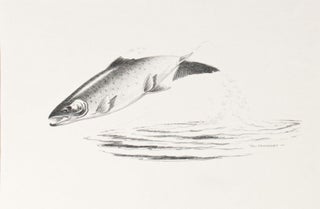 Original Pencil Drawings for ‘Angling for for Atlantic Salmon’ by Shirley E. Woods 1976